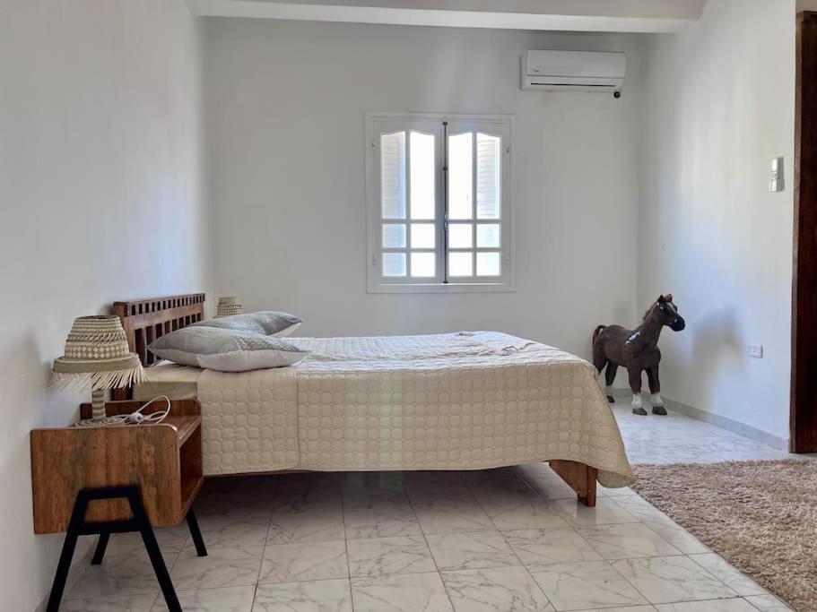 Dar Zakaria Toursitic Area Daire Tuzer Dış mekan fotoğraf